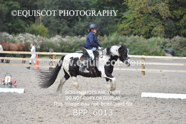 BPP_6013 - PRELIM TEST 5 LONG ARENA