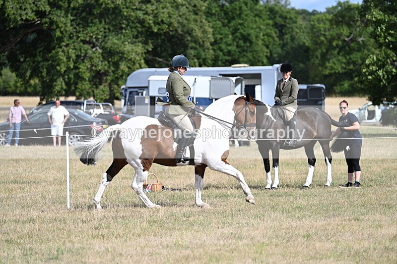 WJ7_7450 - Class 14 Ridden Coloured