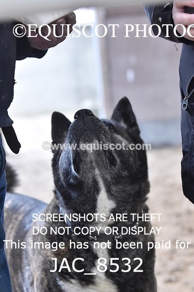 JAC_8532 - CLASS 9 LARGE OPEN 1M