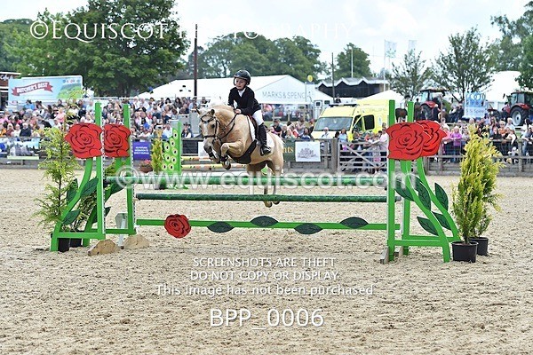 BPP_0006 - RHS 2019 Selection - *Just some random spectator shots so Lucky Dip if you are there!