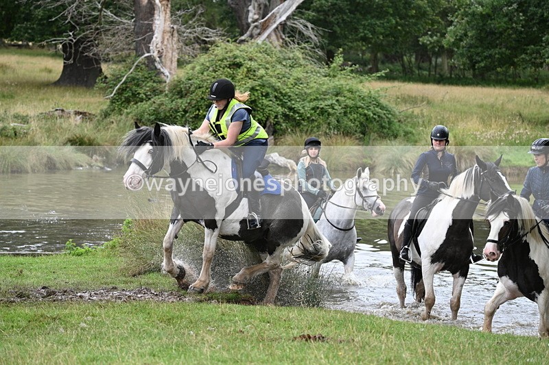 WJ7_3013 - Time at Water 11:37 to 12:13