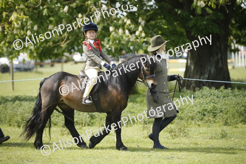 20260426-1854 - Class 7 - Pony Judge Would Most Like To Take Home