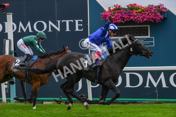 230823-Race 4-Mostahdaf-0602 - Race 4 3.35pm Juddmonte International Stakes