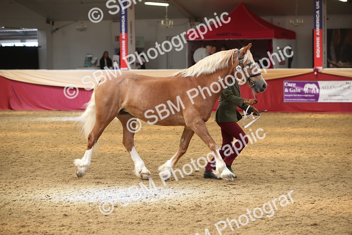 SBM_05342 - Class 8R - Regional IH Veteran