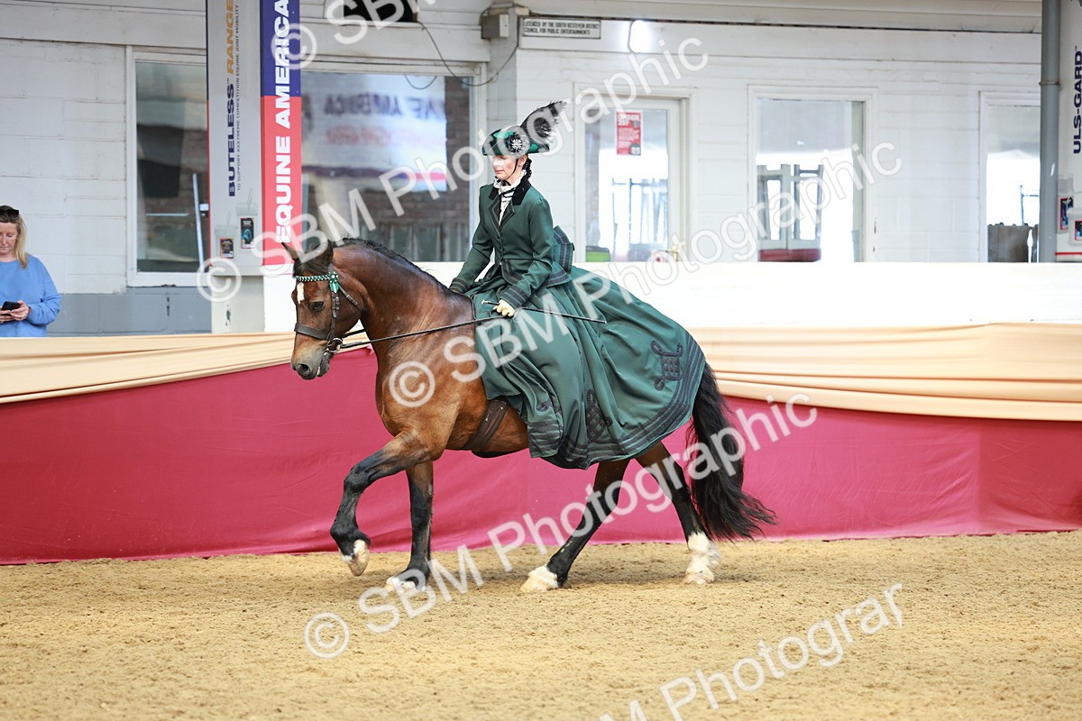 SBM_14817 - Class 107 - Ridden Costume - Astride Adult  (20+)