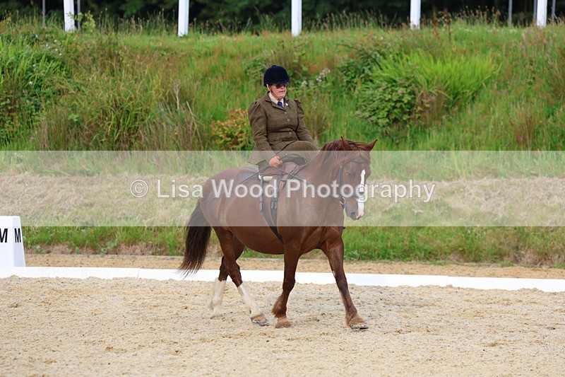 3E7A2049 - Class 3: Prelim 2 2024 Section A