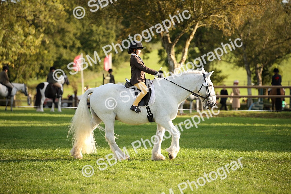 SBM_54370 - S27 - Mature Veteran - Ridden