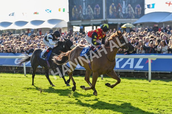 141023-Race 3-Montassib-0995 - Race 3 2.25pm Coral Sprint Trophy Handicap