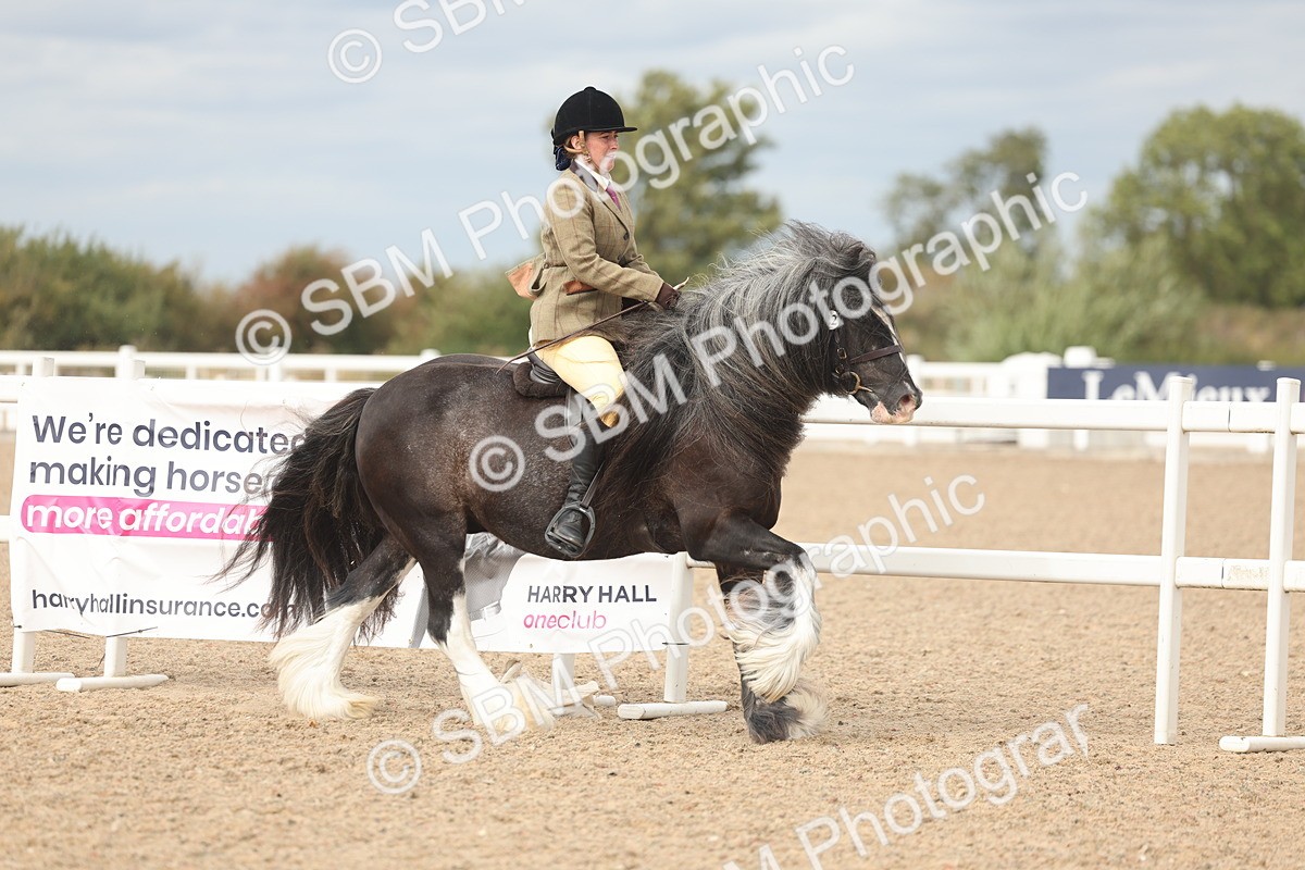 SBM_17998 - Class 314 - Family Horse Pony