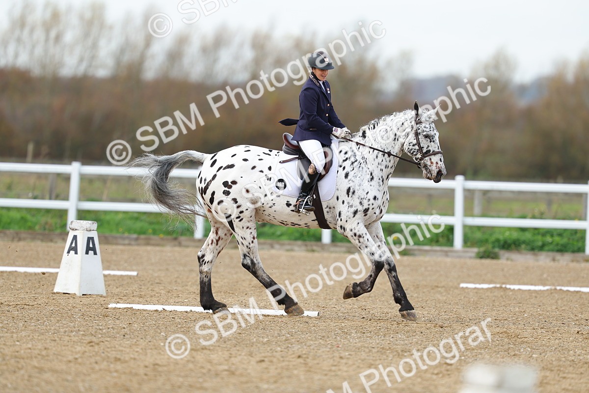 SBM_003878 - Class 9-8-11 - Elementary 1-Novice 4-Elementary 4