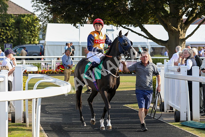 300824-Race 8-Seahorse Syd-0757 - Race 8