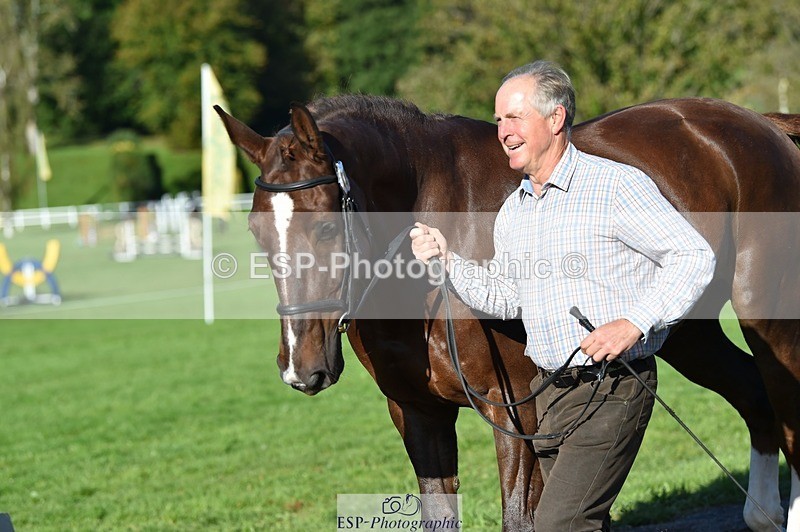 231022-105000-23528 - 447-STALLONE-Andrew.Winterton-TrotUp+SJ