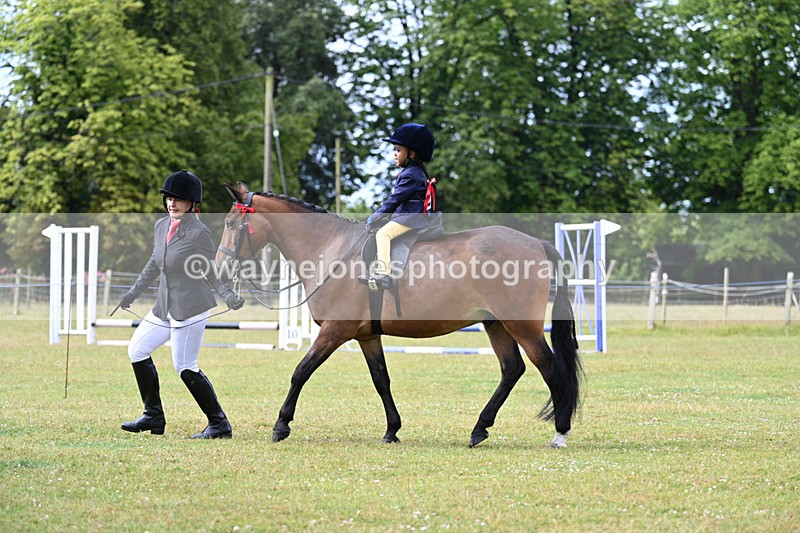 WJ7_4585 - Class 1 Lead Rein Pony
