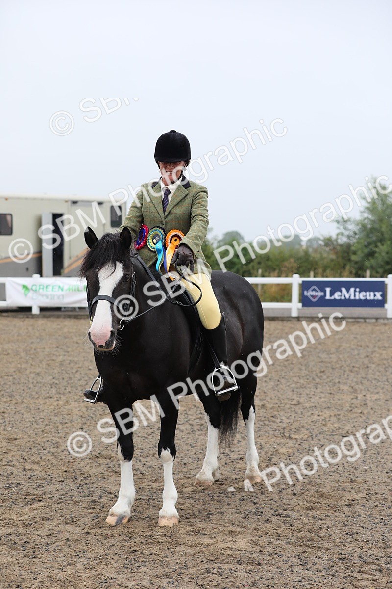SBM_20094 - Class 802 - Ridden Groom - Helpers class