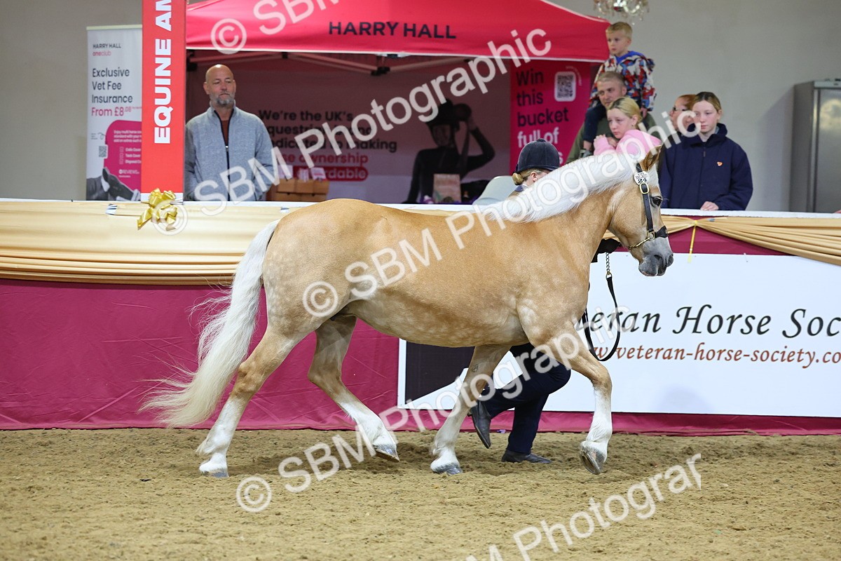 SBM_21001 - Class 902 - Supreme Final IH Veteran