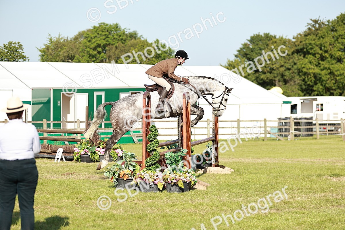 SBM_19966 - Class 115-116 - LIHS BSHA Rising Star Working Hunter & Show Horse