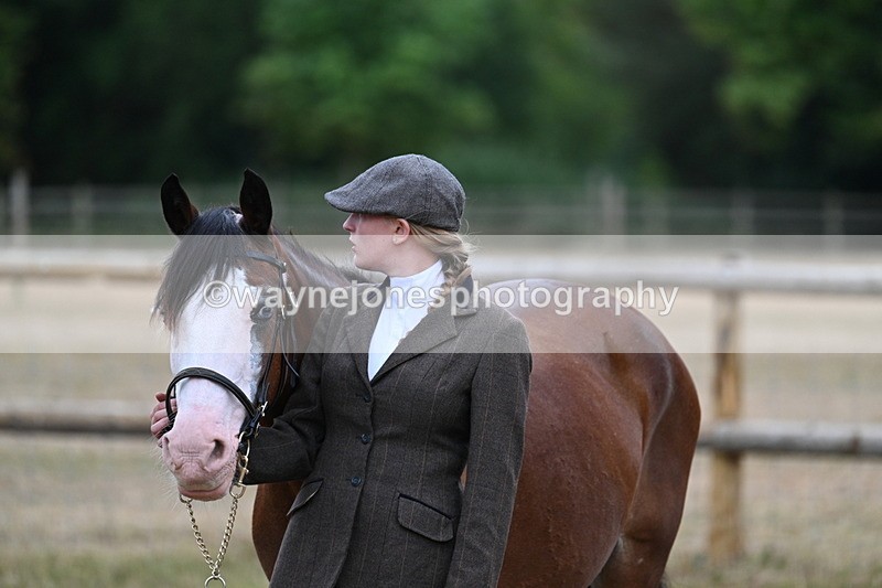 WJ7_8549 - Class 4 Prettiest Mare up to 14.2hh
