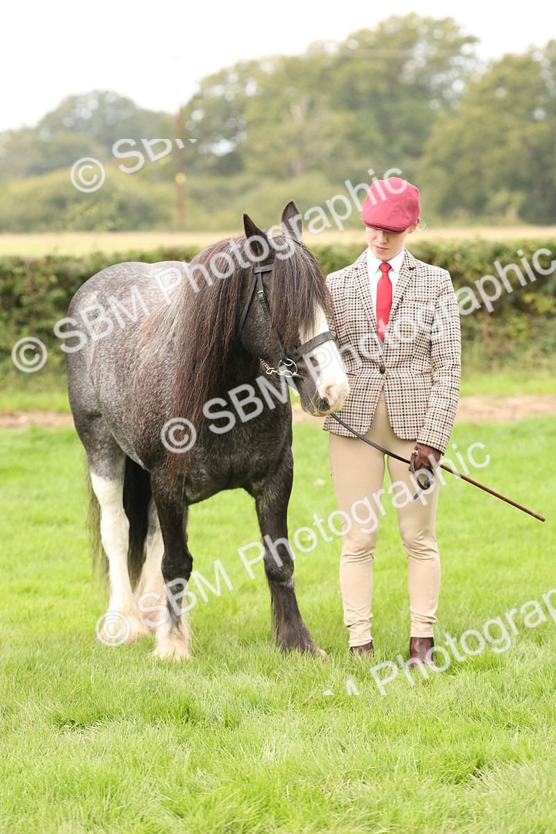 SBM_59346 - S57 - Traditional Cob In Hand