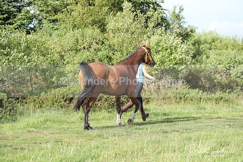 SPXX0133 - Friday vetting