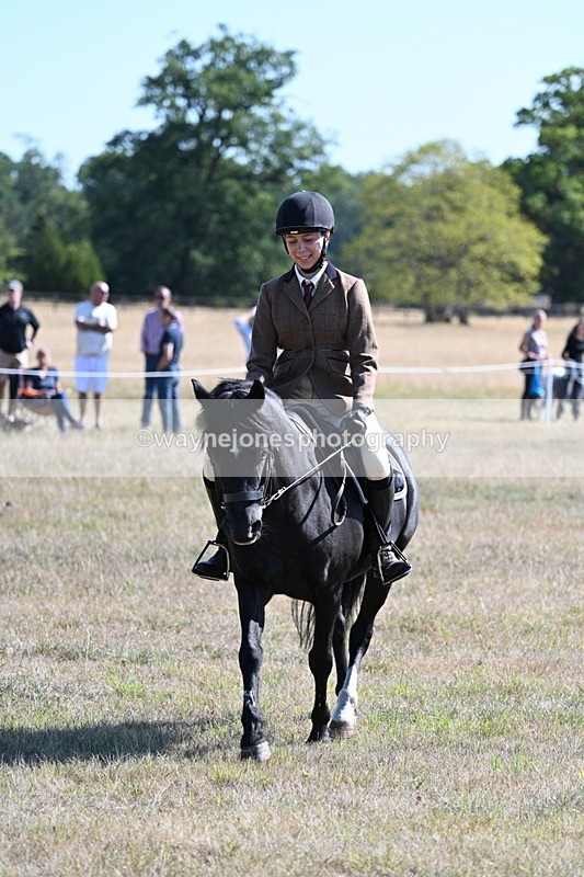 WJ7_3784 - Class 9 Mountain & Moorland Ridden