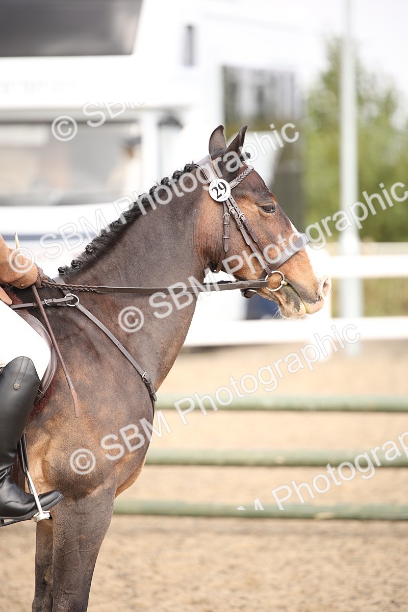 SBM_16070 - Class 408b - Working Veteran 70cm (20+)