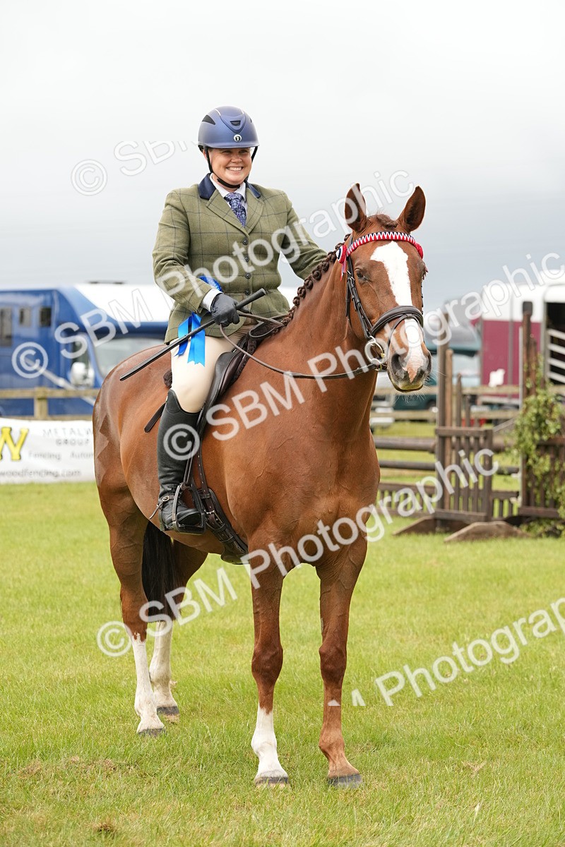 SBM_10656 - Class 97-98 - LIHS BSHA Rising Star Working Show Horse Hunter