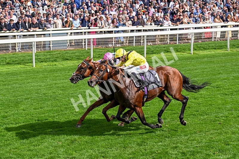 190826-Race 4-Item-0490 - Race 4 15.35pm Juddmonte International Stakes