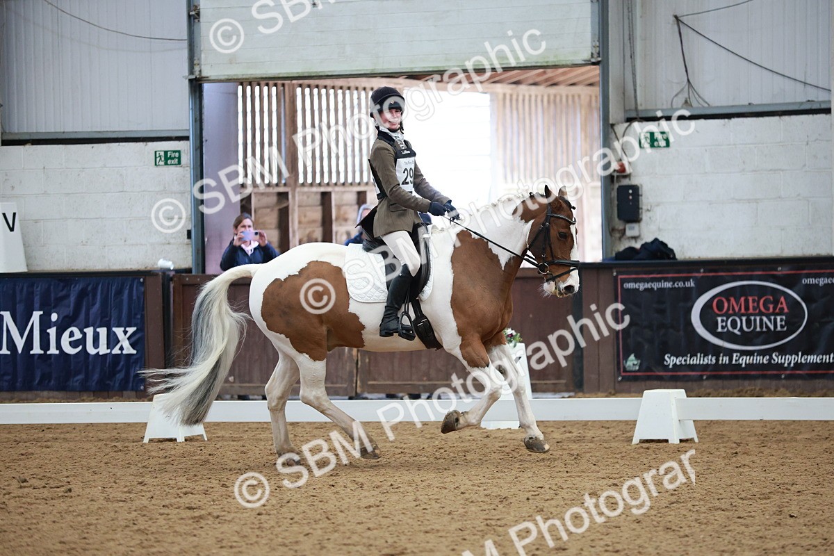 SBM_003953 - Class 2 - Novice 2020