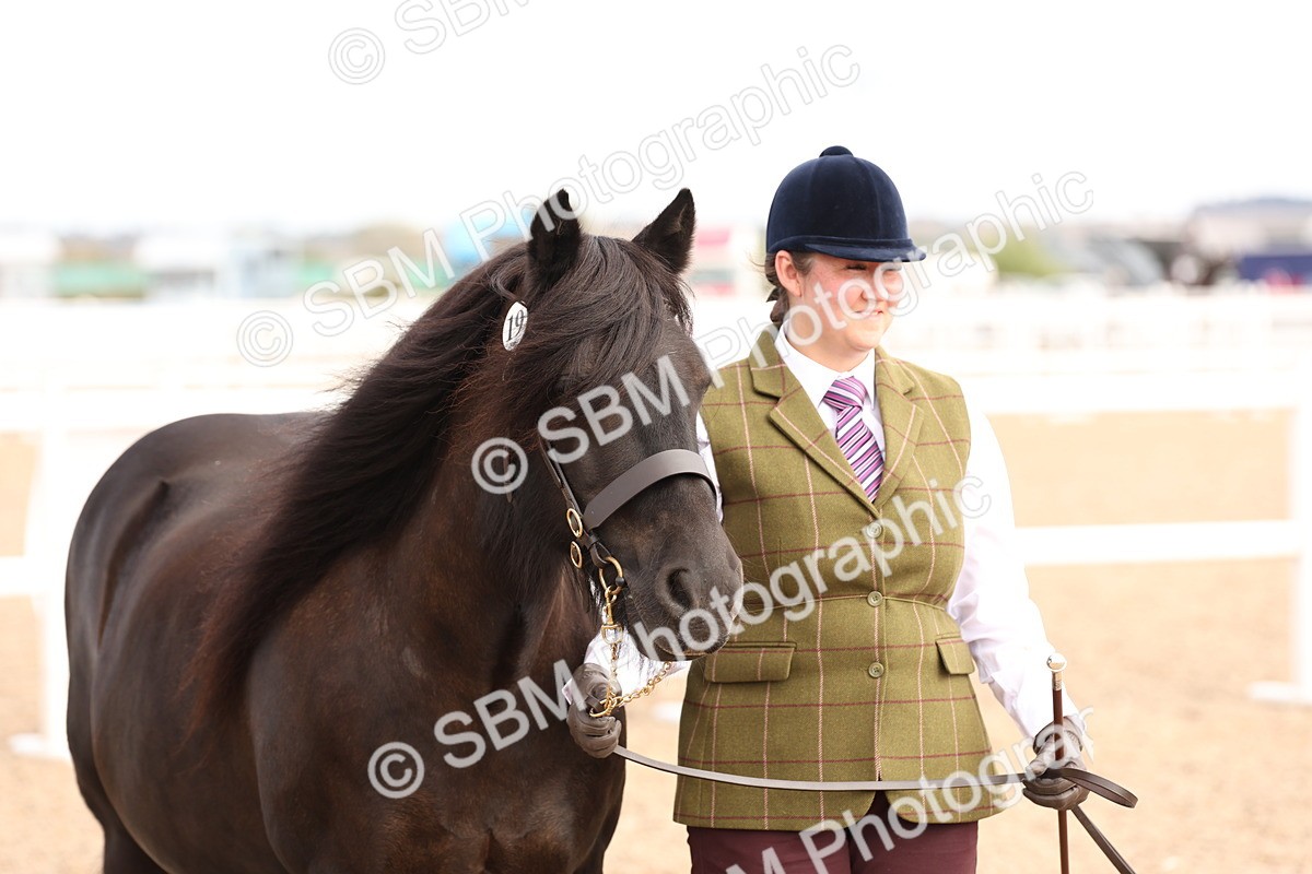 SBM_15130 - Class 209 - IH Veteran Pony