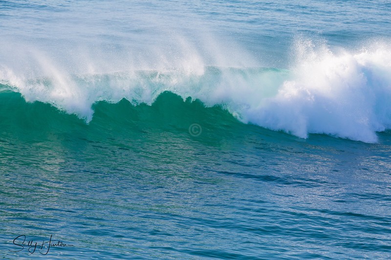 Waves small 14