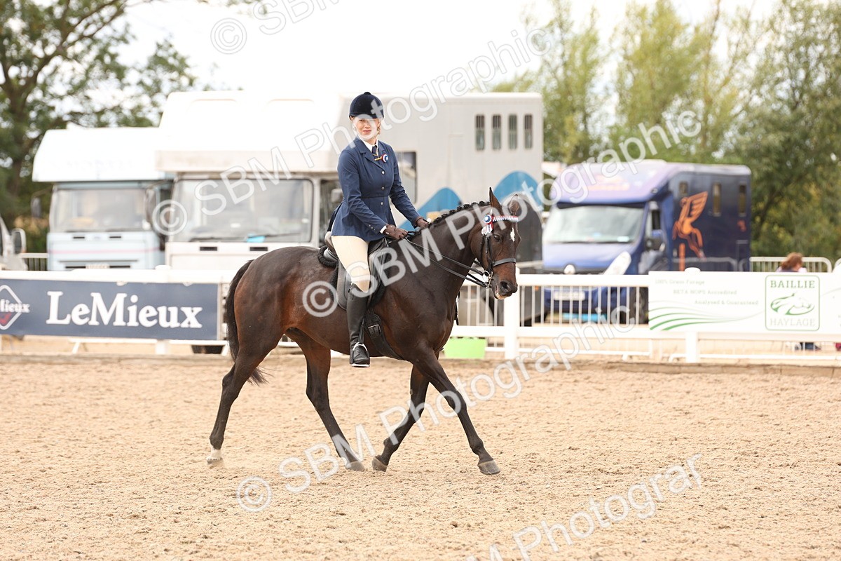 SBM_17308 - Class 214 - Ridden Hack Riding Horse
