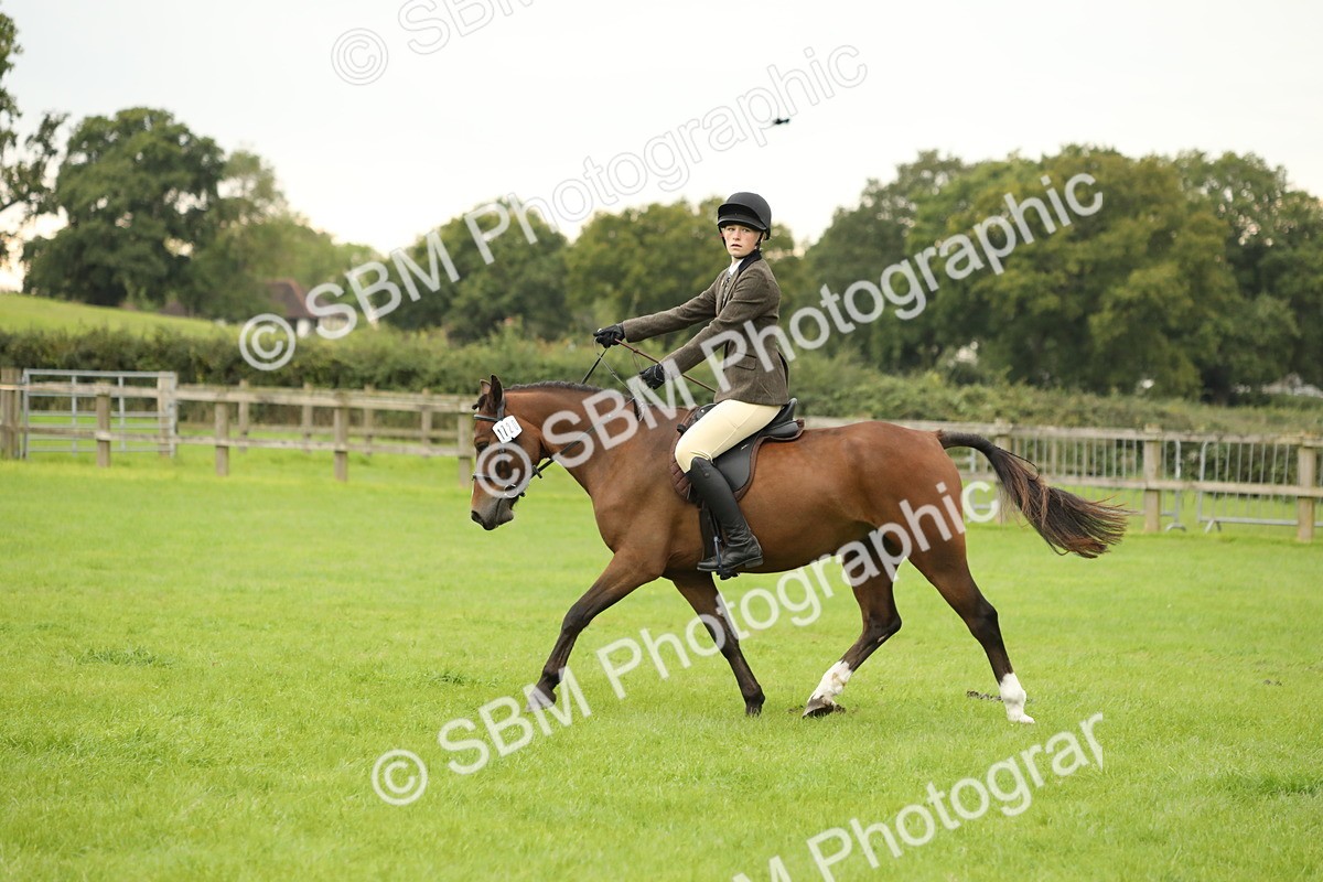 SBM_73702 - S41 - Ridden Equitation (Best Rider)