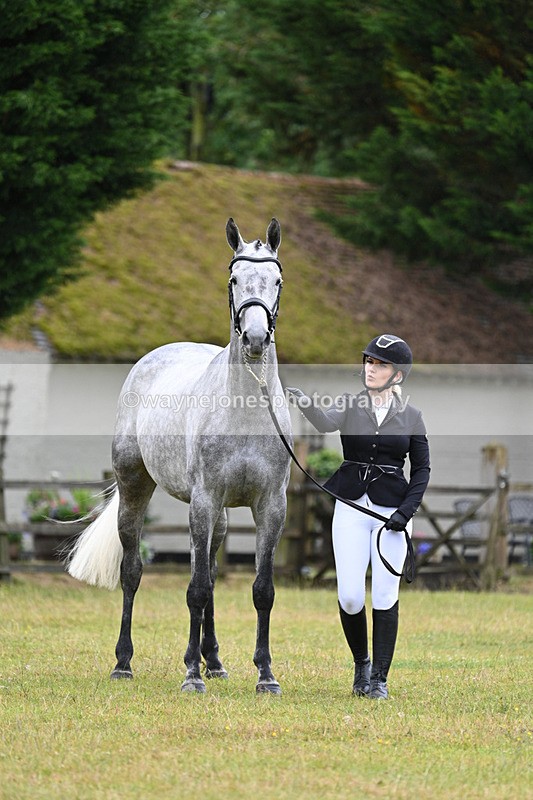 WJ7_6136 - Class 4a Prettiest Mare over 14hh