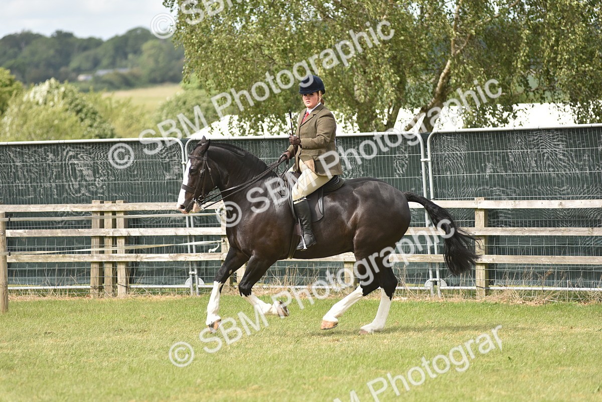 SBM_17711 - Class 122-123 - LIHS BHSA Raising Star Style and Performance Series