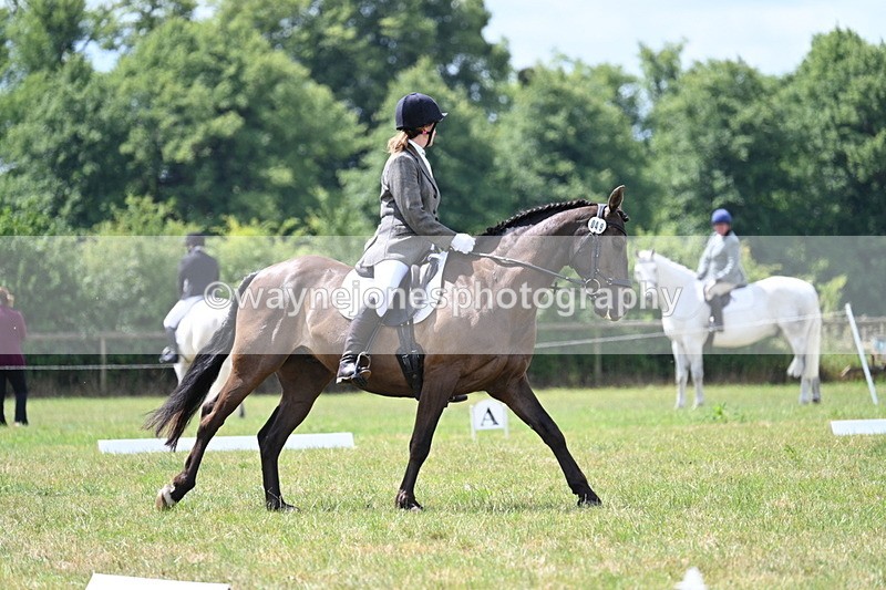 WJ7_4847 - Time 11:22 to 11:51