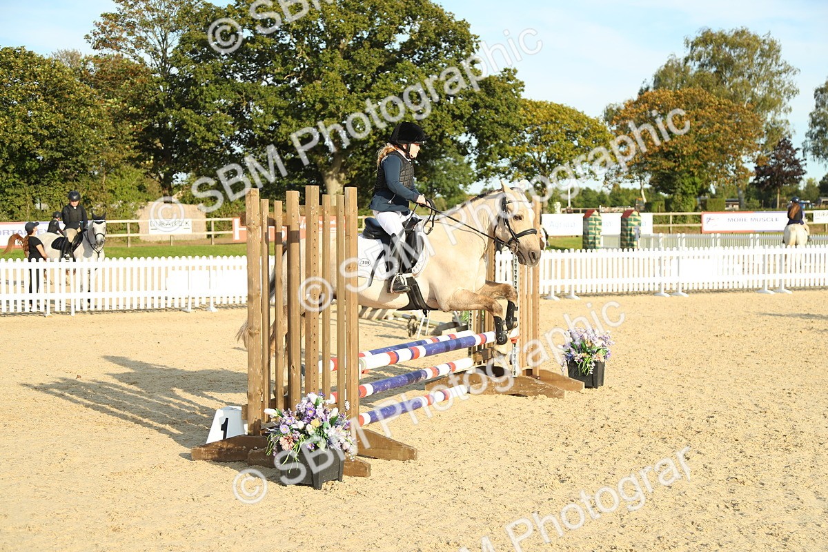 SBM_53663 - J8 - Junior Pony 65cm Championship