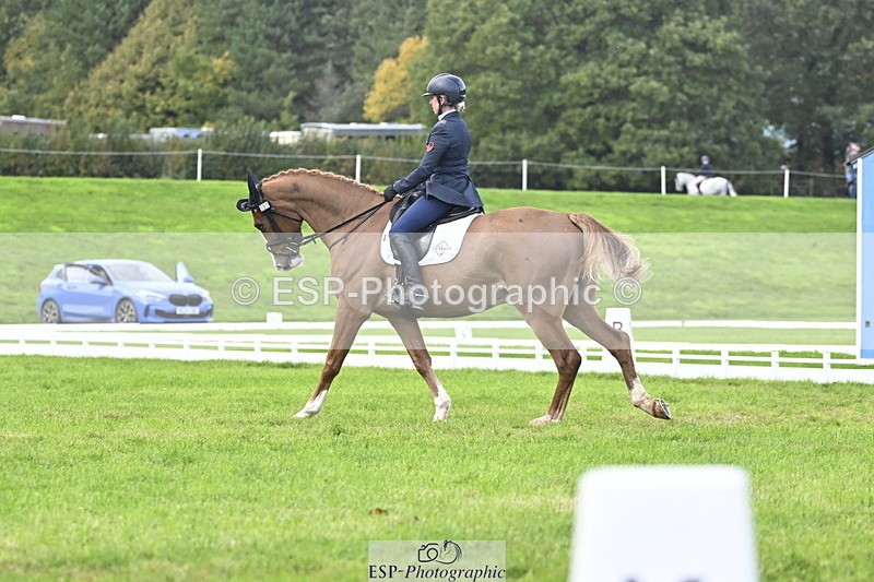 251023A-151605-04560 - E-387-Vittoria.Panizzon