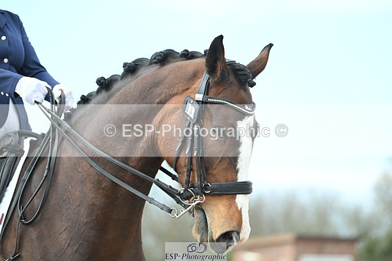 250403-095200-01042 - 037-Fay.Lai-Greenlanes.Lullaby