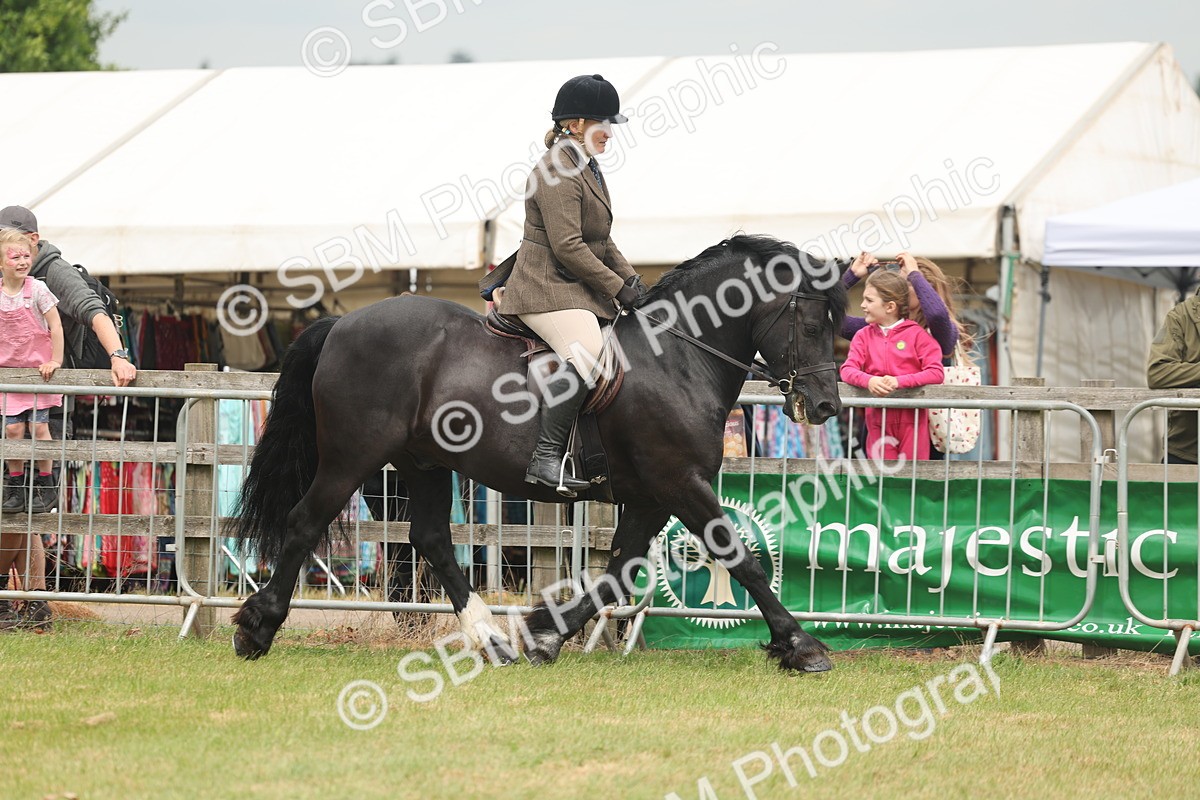 SBM_07174 - Class 76-77 - Ridden M&M Welsh Ponies