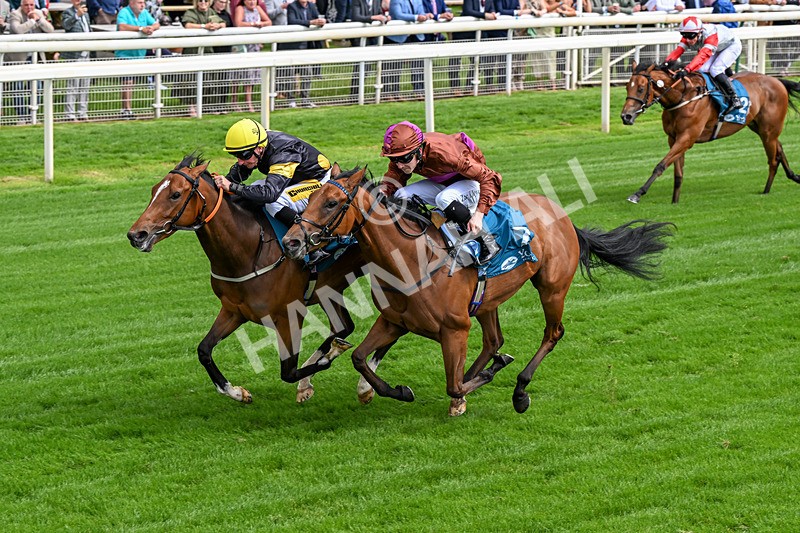 120626-Race 4-Big Negotiator-0238 - Race 4 15.35pm Juddmonte EBF Fillies' Restricted Novice