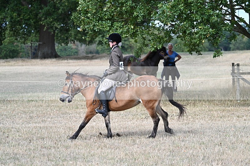 WJ7_6028 - Class 13 Ridden Veterans