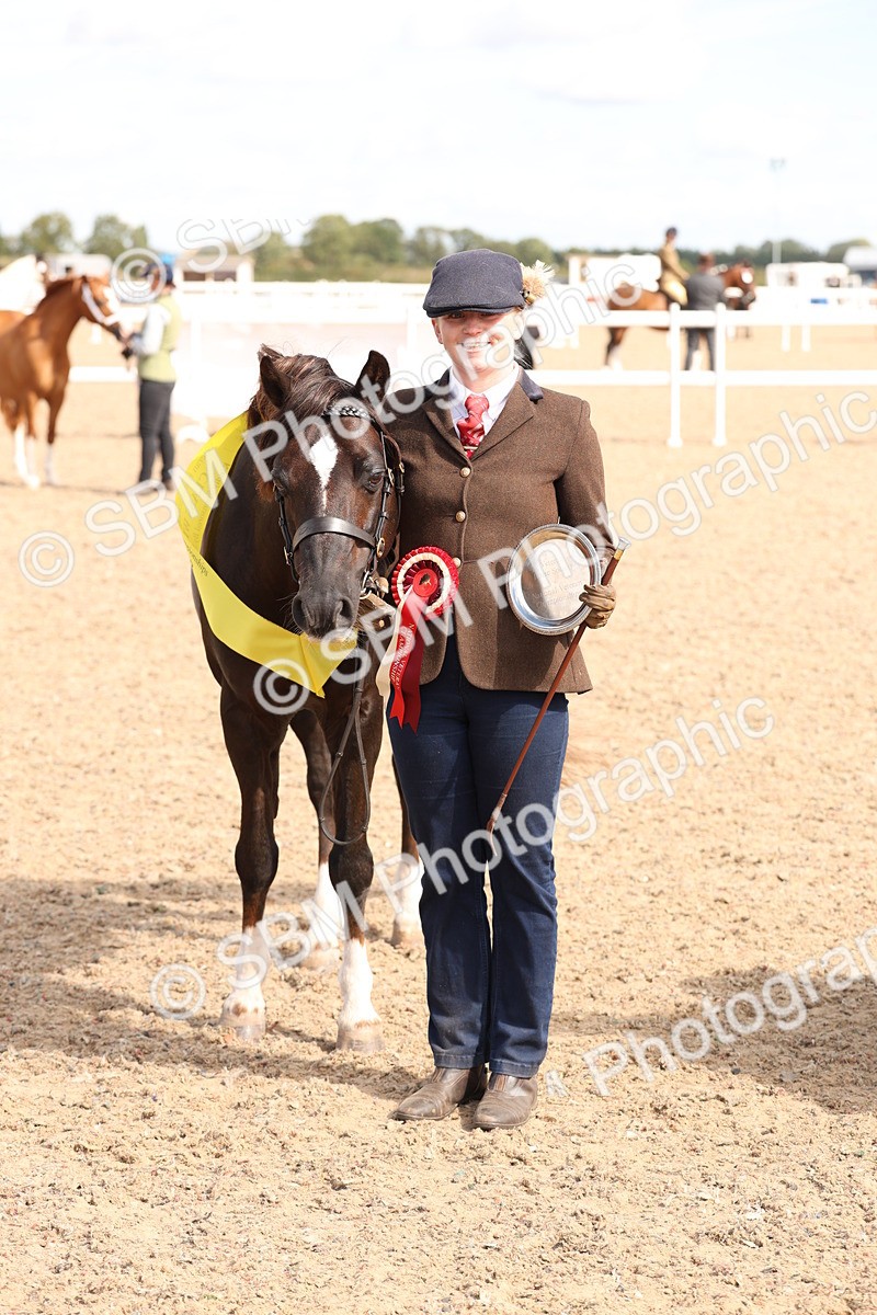 SBM_13990 - Class 205 - IH Show Pony - Show Hunter Pony