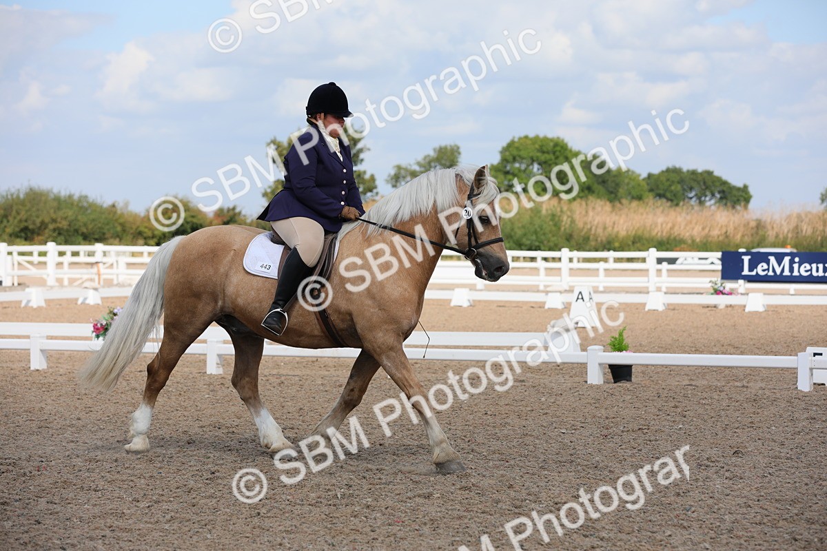 SBM_04042 - Class 31 Prelim 1