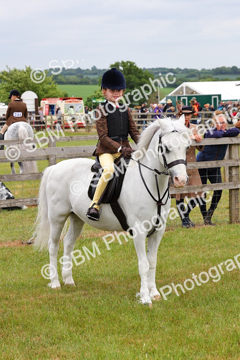 SBM_08796 - Class 42-43 - LIHS BSPS Heritage Working Sports Pony