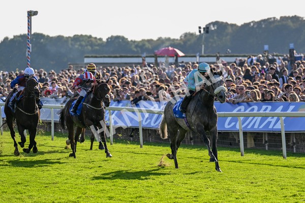 111025-Race 4-Binhareer-0457 - Race 4 Coral Sprint Trophy Handicap at York