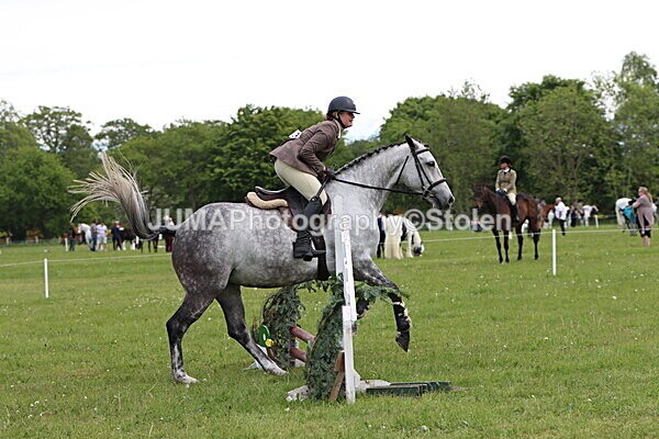 IMG_2766 - Working Hunter