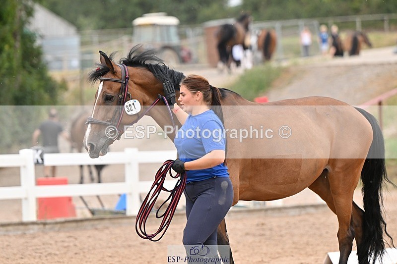 250716-160908-02459 - Trot Up 3.30 to 4.30