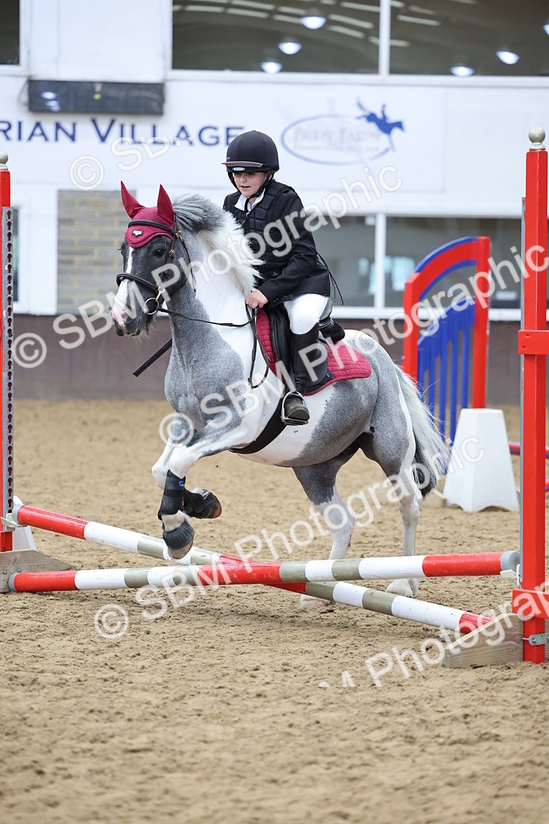 SBM_006981 - Class 1 - 40cm showjumping