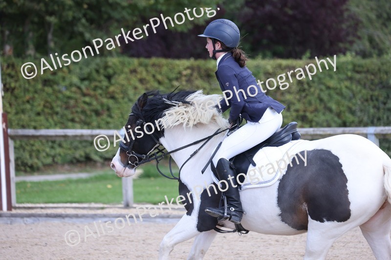 20250928-1823 - Class 5 - 80cm