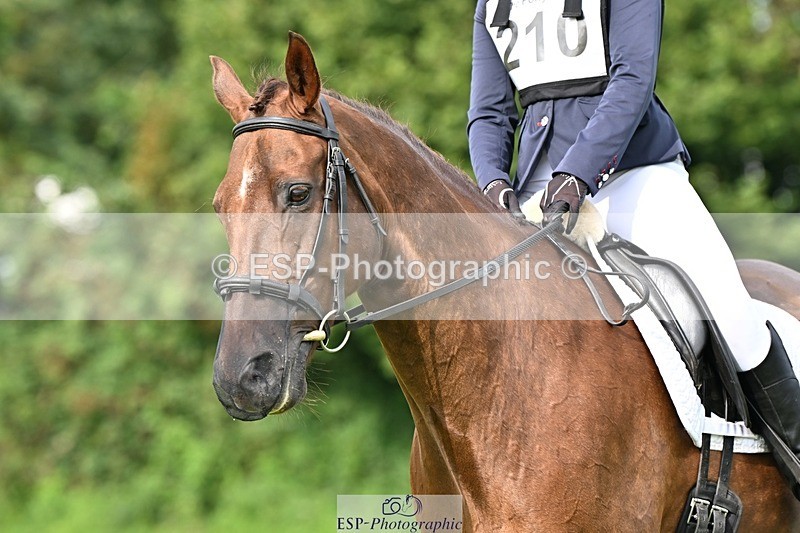 230826-100658-16380 - Sections A & B 10 to End